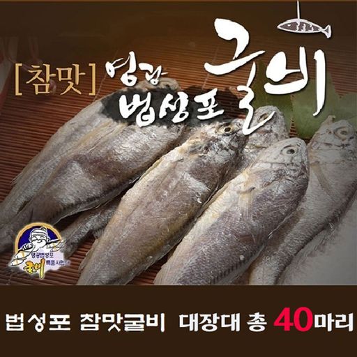 영광법성포 햇 굴비 대장대 40미구매 후 3천원 적립
