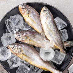 국내산 참굴비 800g 20미x5팩 (총100미)