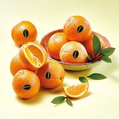 프리미엄 고당도 블랙라벨 오렌지 2.5kg(13-17입)