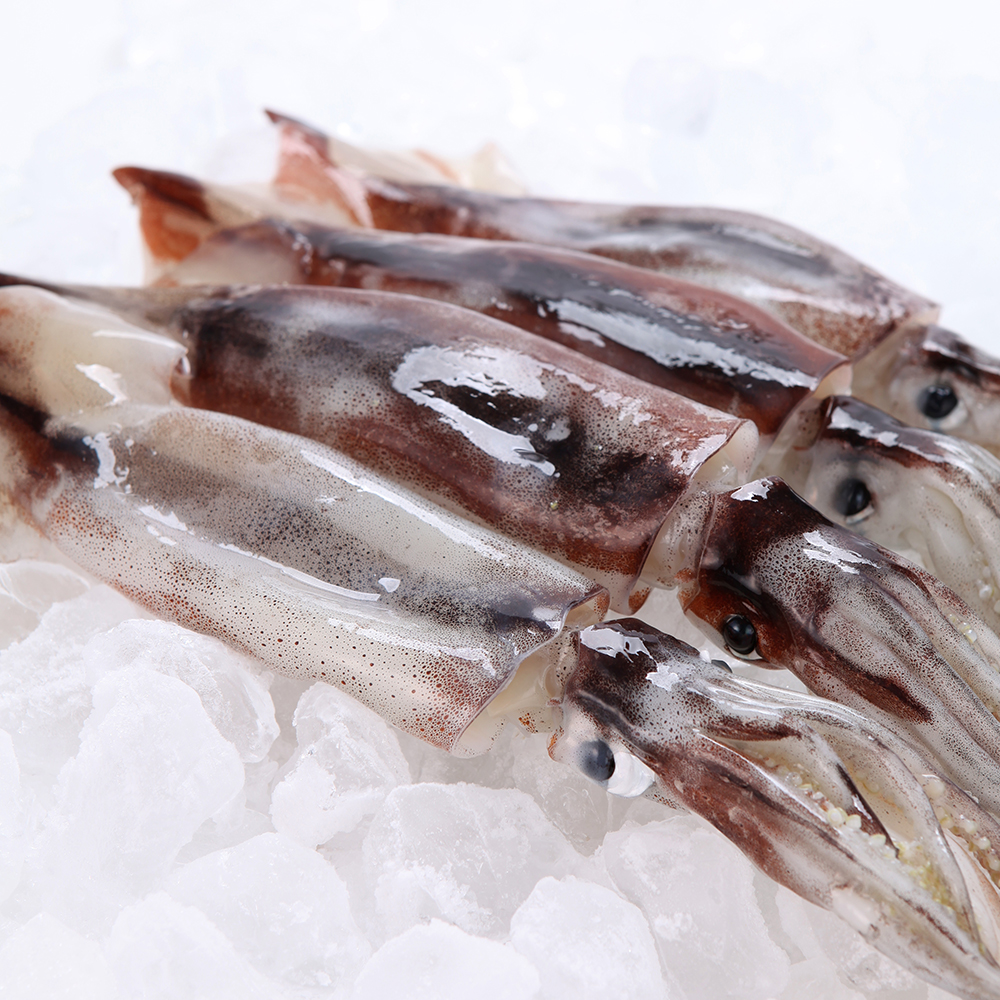 [천사푸드] 손질 통오징어 10미 (2미(220g) x 5팩) 외수산대전 혜택가 16,900원!