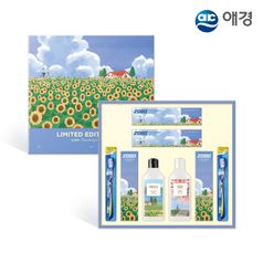 (etv) 애경 꽃길 3호 선물세트 (손잡이케이스/ 샴푸1+바디워시1+치약4+칫솔2)