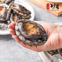★수산★특허받은 기삼전복 특특대 7미 (마리당 140g 내외)