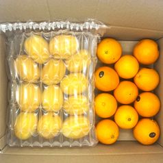 블랙라벨 오렌지13과 + 가정용 참외 랜덤과 2.5kg
