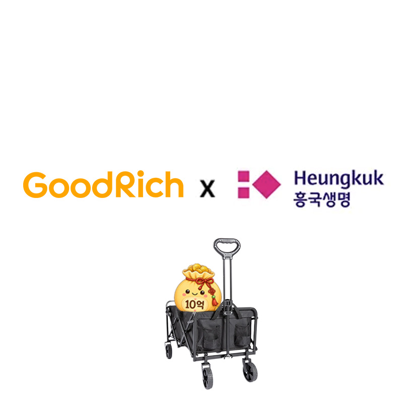 (방문)굿리치x흥국화재 흥Good 든든한 3N5 간편 종합보험 10억리셋월렛_웨건
