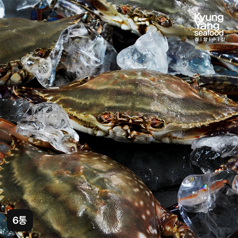 국내산 알배기 간장게장 (500g x 4+2통)5%쿠폰+구매 후 3천원 적립
