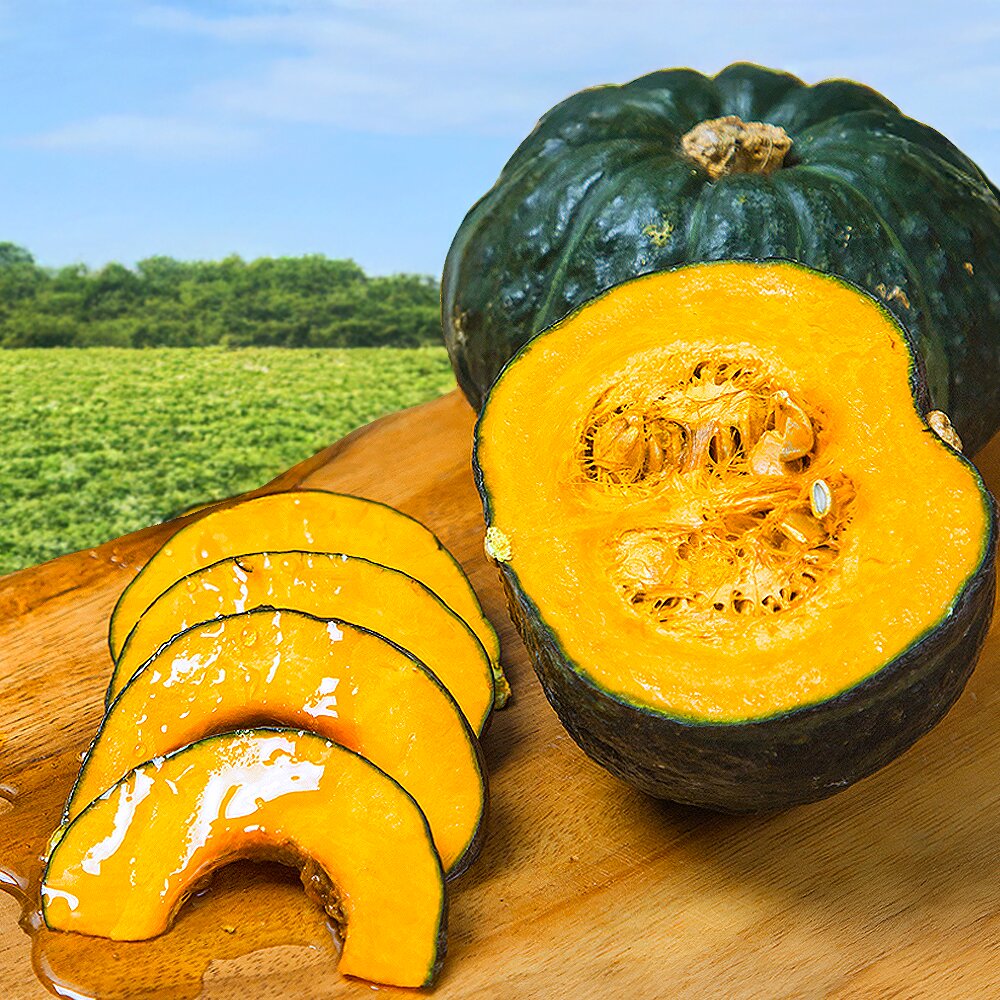 ★한정특가★ 제주 애월 미니단호박 보우짱 3.5kg 못난이 (박스포함)