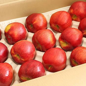 열매나무 못난이 부사사과 3kg+3kg (총 6kg)구매 후 3천원 적립 2