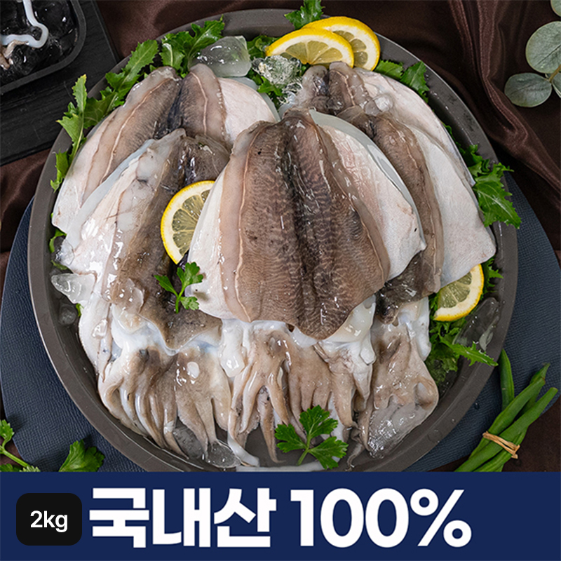 국내산 손질 갑오징어 12~14마리 (총 2kg)5%쿠폰+구매 후 3천원 적립