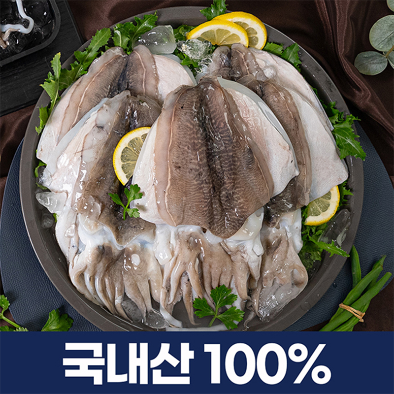 국내산 손질 갑오징어 12~14마리 (총 2kg)5%쿠폰+구매 후 3천원 적립 2