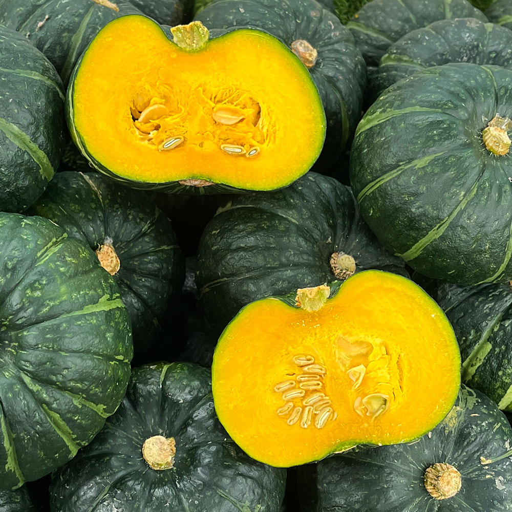 제주 애월 못난이 미니 단호박 보우짱 3.5kg
