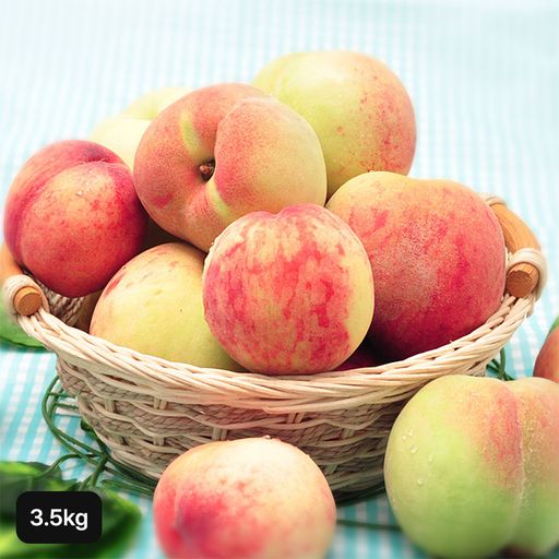 열매나무 경북 햇 백도 복숭아 3.5kg5%쿠폰+구매 후 3천원 적립