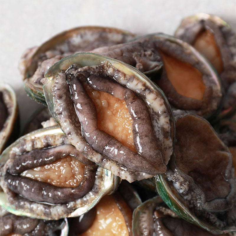 완도 활전복 1kg(미당 25~35g/ 30~40미)5%쿠폰+구매 후 3천원 적립 2