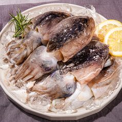 국내산 서해 손질 갑오징어 500g 1kg
