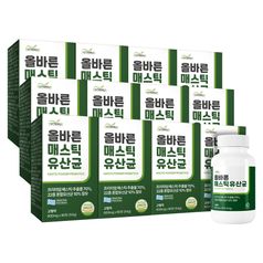 뉴트리너스 올바른 매스틱 유산균 (600mg x 90정) 12통