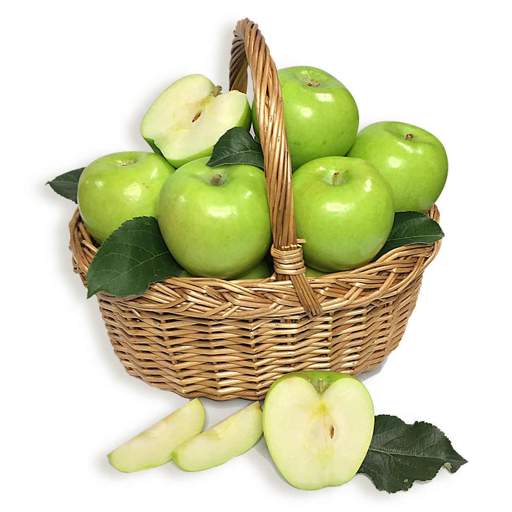 경북 녹색사과 썸머킹 아오리사과 4kg - 10kg