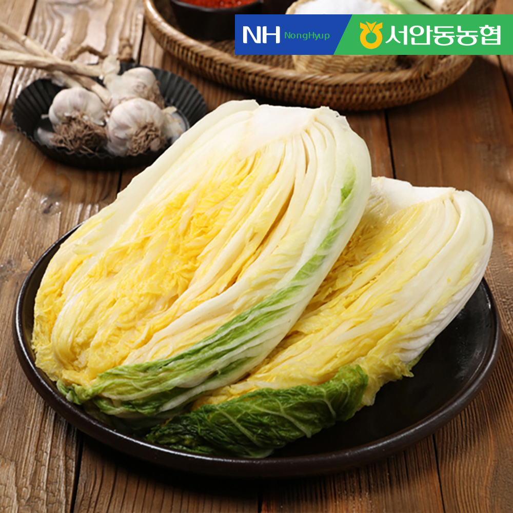 [즉시출고] [프레시홀] 서안동농협 HACCP 풍산 절임배추 10kg