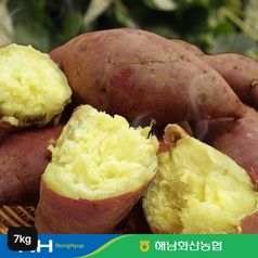 해남 화산농협 햇 밤고구마 3.5kg+3.5kg구매 후 3천원 적립