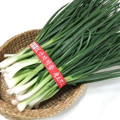 산정마을 국내산 깐쪽파 쪽파 1단
