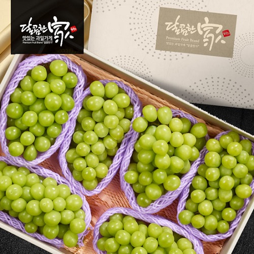 ㈜봉우리농장 [달콤한가]<b>샤인</b>머스캣 세트 1호 <b>4kg</b>(4~6과)