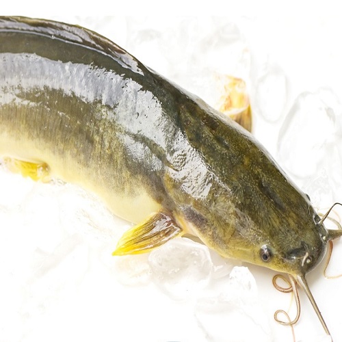 ★신선손질★국내산 메기1kg(매운탕소스포함)