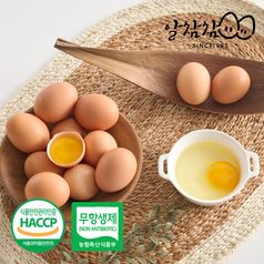 알참참 무항생제 특란 30구 HACCP인증 신선한 계란 생란