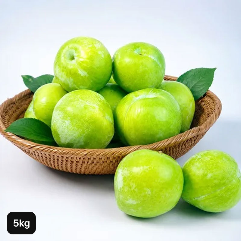 아침이슬사과 (제철특가) 고당도 신품종 켈시자두 5kg (개당 70g내외)5%쿠폰+구매 후 3천원 적립