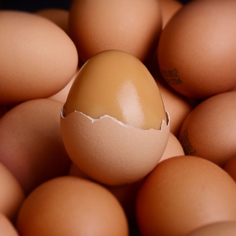 가가농장 HACCP 해썹 인증 맥반석 구운계란 30구 60구 90구 120구 300구