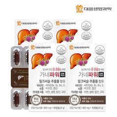 대웅생명과학 가네파워 4박스(4개월분)+쇼핑백