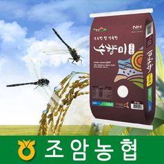 26년햅쌀 수향미20kg 조암농협 26년햅쌀 정품인증 스티커부착