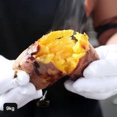 26년 햇 특등급 해남 호박고구마 4.5kg+4.5kg (총 9kg) 구매 후 3천원 적립