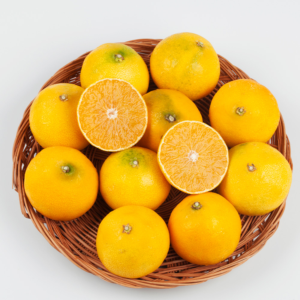 (주)오렌지씨 제주 산지직송 황금향 2kg 3kg 5kg <b>10kg</b> 달콤한 제철 <b>감귤</b>